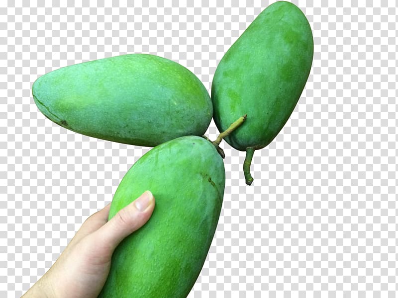 Mango Designer Cyan, Green mango transparent background PNG clipart