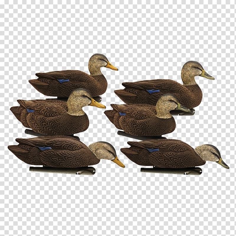 Mallard Duck Decoy Beak Floater, duck transparent background PNG clipart