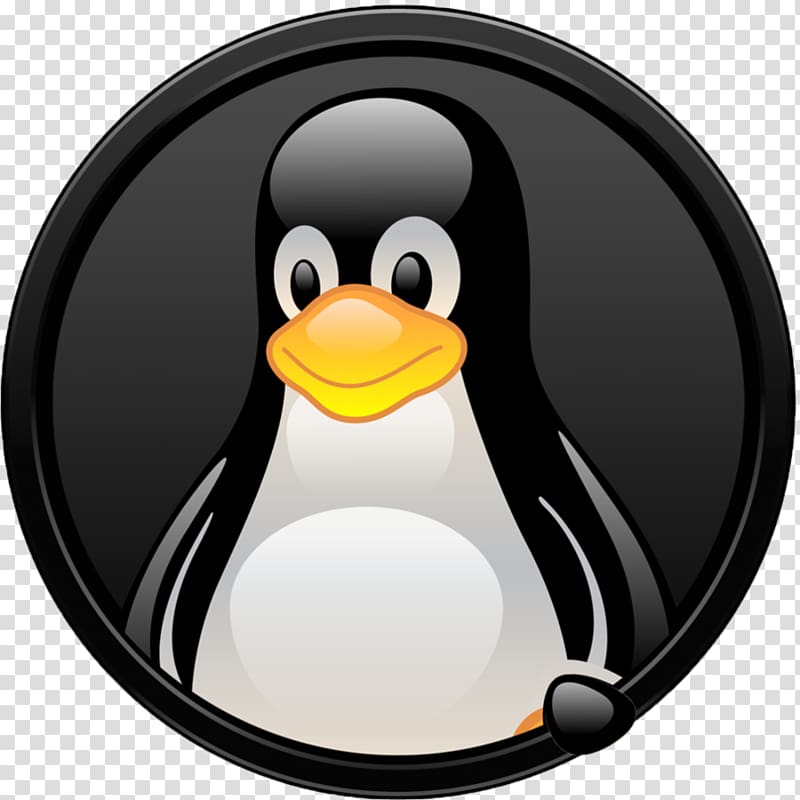 Linux distribution Free and open-source software Open-source model, linux transparent background PNG clipart