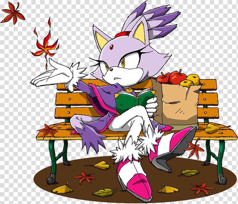 Cat Amy Rose Shadow the Hedgehog Sonic Rush, blaze transparent background PNG clipart