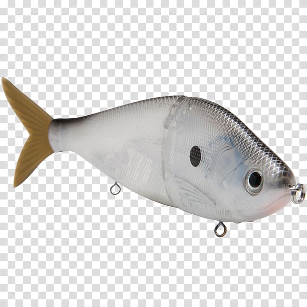 Plug Swimbait Fishing Baits & Lures Milkfish Perch, others transparent background PNG clipart