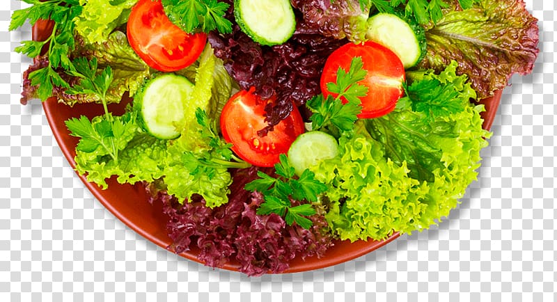 Hamburger Lettuce Recipe Salad Capitata Group, salad transparent background PNG clipart