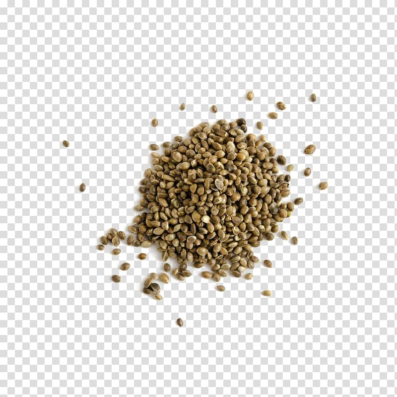 Cannabis sativa Hemp oil Seed, cannabis transparent background PNG clipart