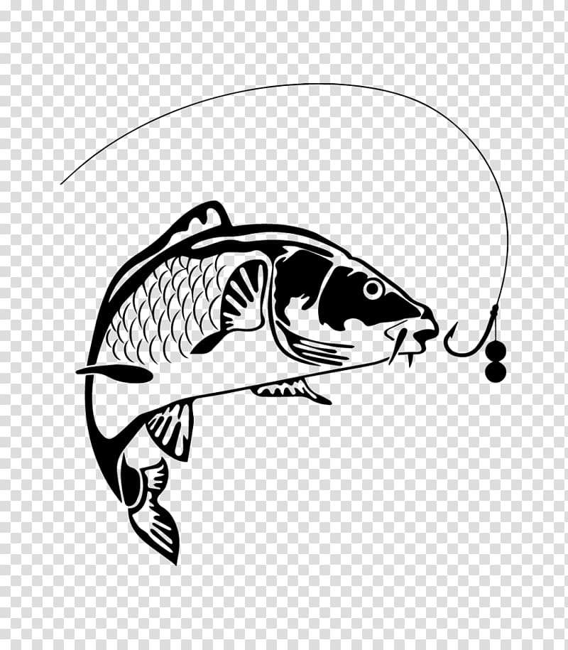 Carp fishing, fishing club transparent background PNG clipart