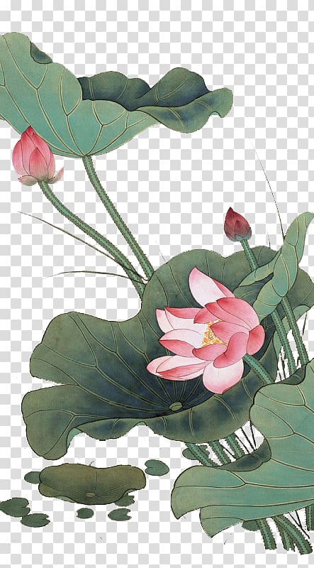 pink lotus flower and lily pad , China Chinese painting Gongbi Bird-and-flower painting, Chinese style lotus transparent background PNG clipart