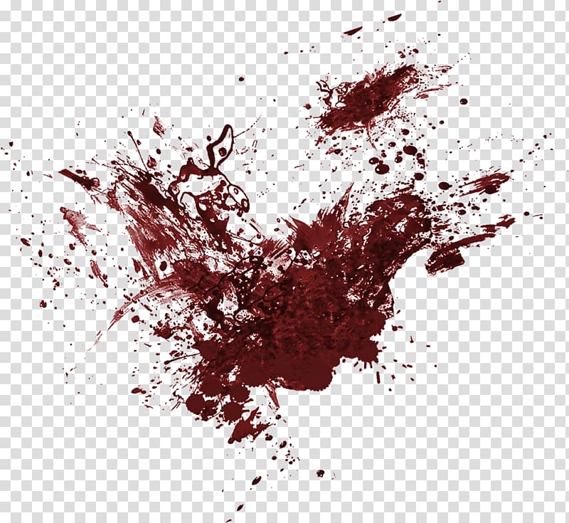 Pee or blood stain on panties - bloodstained spot Vector Image