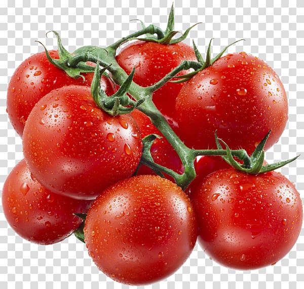 Cherry tomato Vegetable Gazpacho Heirloom tomato, cherry transparent background PNG clipart