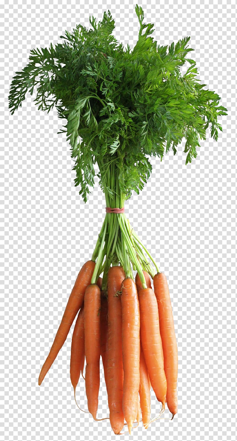 Carrot Vegetable Computer file, Carrots , bundle of carrots transparent background PNG clipart