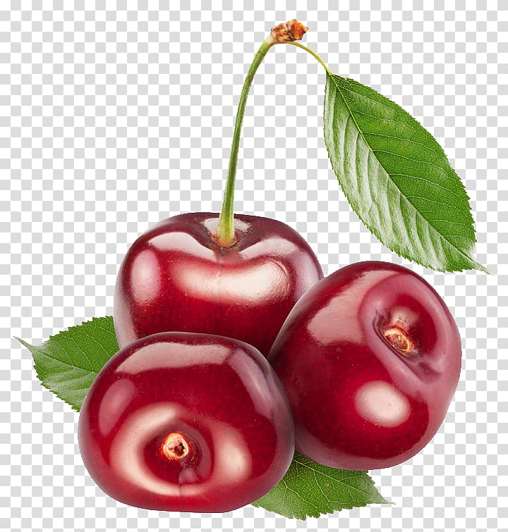Berry Sweet Cherry Cerasus, Cherry transparent background PNG clipart