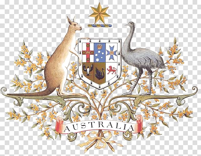 Coat of arms of Australia National symbols of Australia Floral emblem, Australia transparent background PNG clipart
