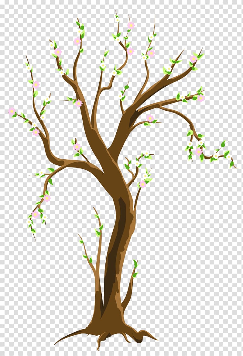 pink and green leafed tree illustration, Tree Spring , Spring Tree transparent background PNG clipart