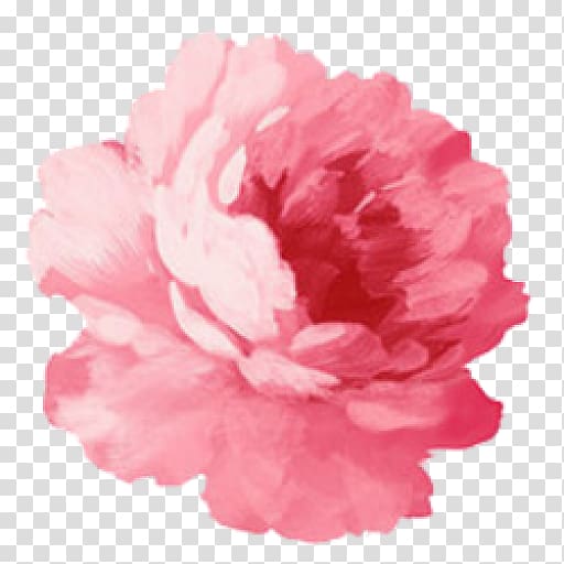 Paper Pink flowers Sticker, flower transparent background PNG clipart