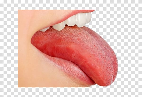 Tongue transparent background PNG clipart