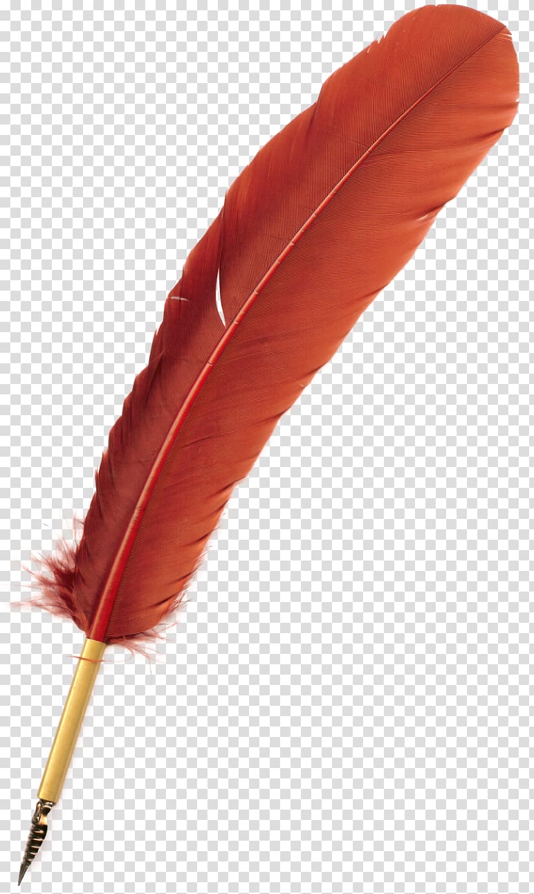 Bird Feather Quill Pen, feather transparent background PNG clipart