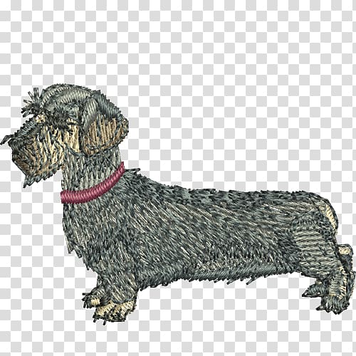 Cesky Terrier Dachshund Dog breed Razas nativas vulnerables, dachshund transparent background PNG clipart