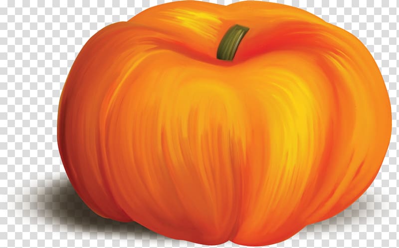 Calabaza Pumpkin Cucurbita Winter squash Food, 5 transparent background PNG clipart