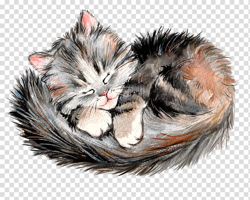 sleeping kitten transparent background PNG clipart