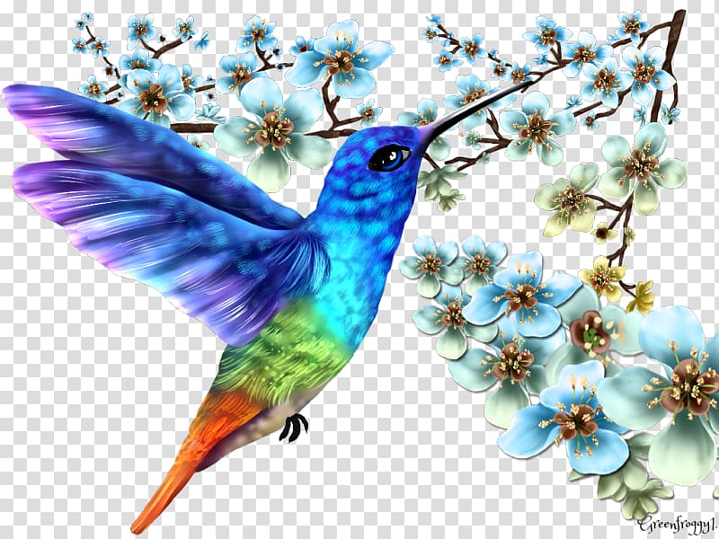 Contact page Art Hummingbird M, stepmother transparent background PNG clipart