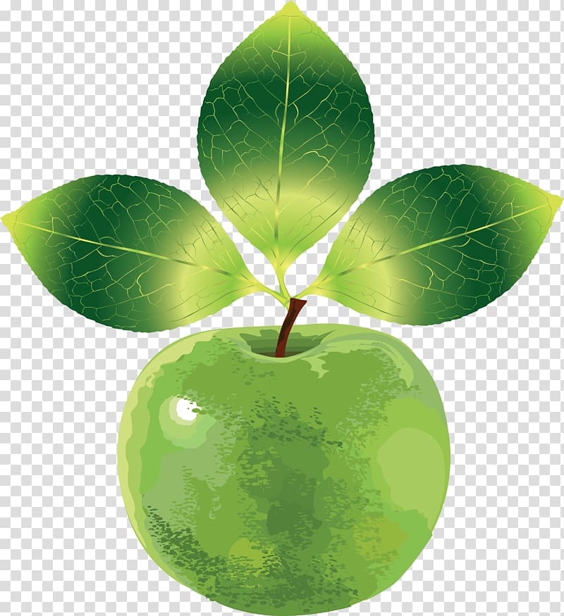 iPhone X Apple Macintosh NASDAQ:AAPL News, Green Apple transparent background PNG clipart