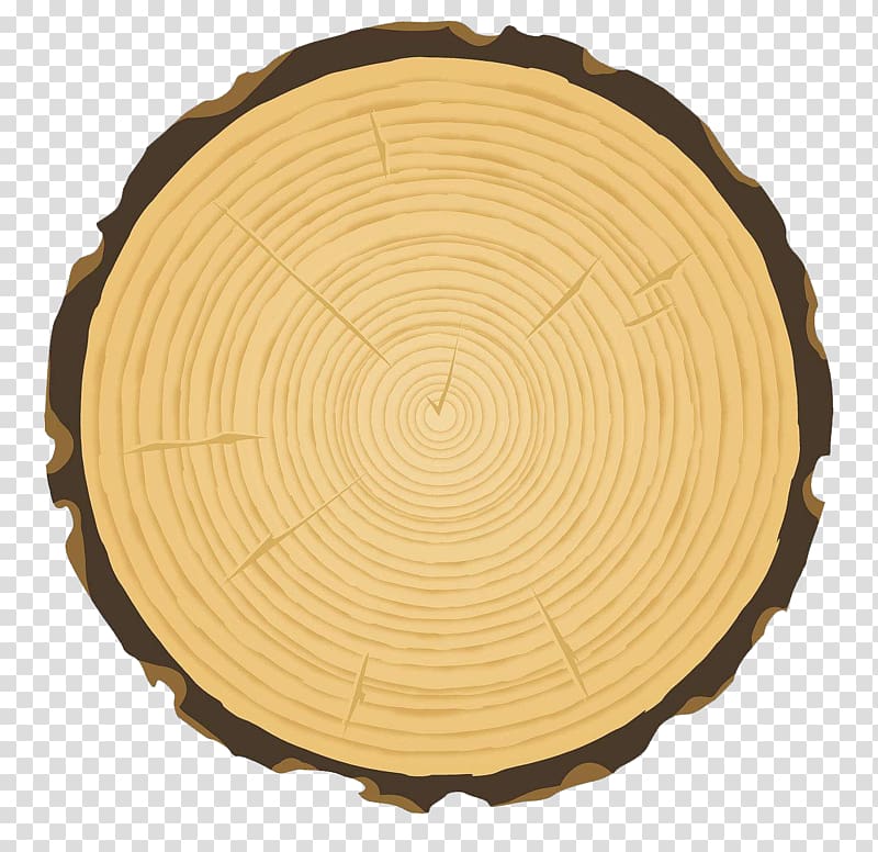 tree rings transparent background PNG clipart