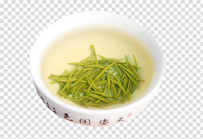 Xinyang Maojian tea Sencha Green tea Bubble tea, Camellia green tea transparent background PNG clipart