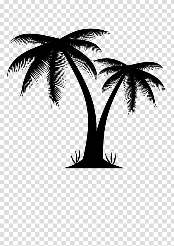 Arecaceae Euclidean Illustration, Palm tree transparent background PNG clipart