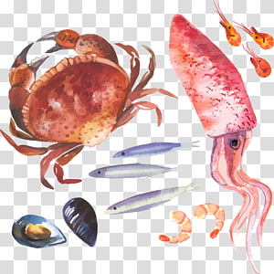 crab outline clipart birthday