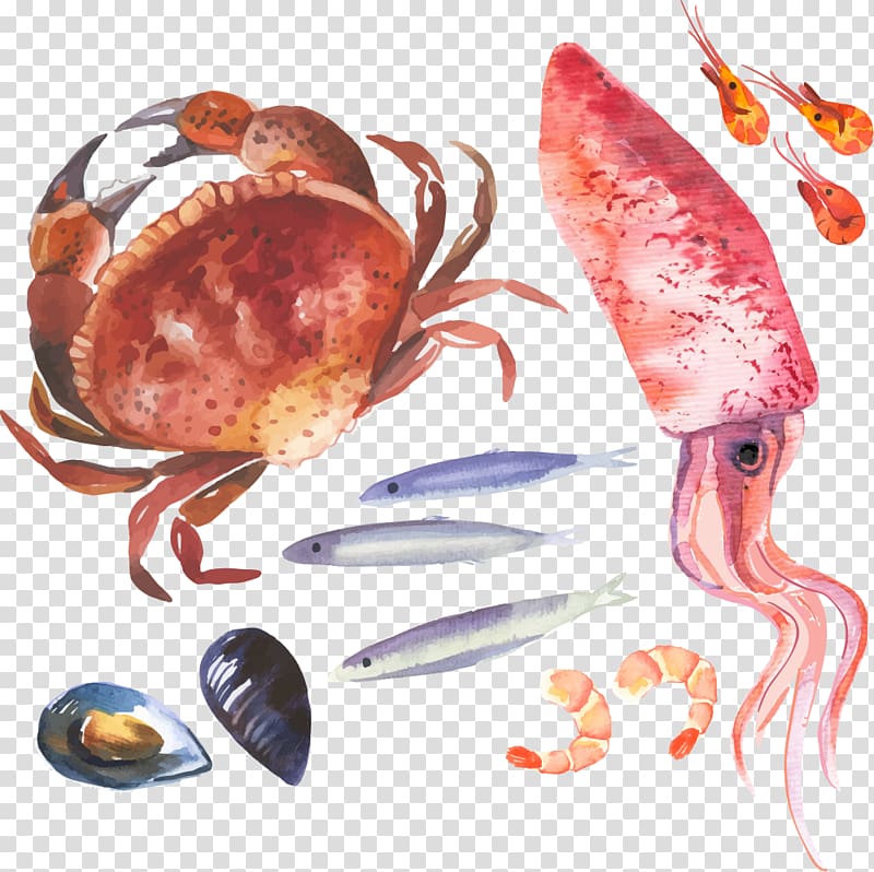 Crab Watercolor painting Illustration, crab and squid transparent background PNG clipart
