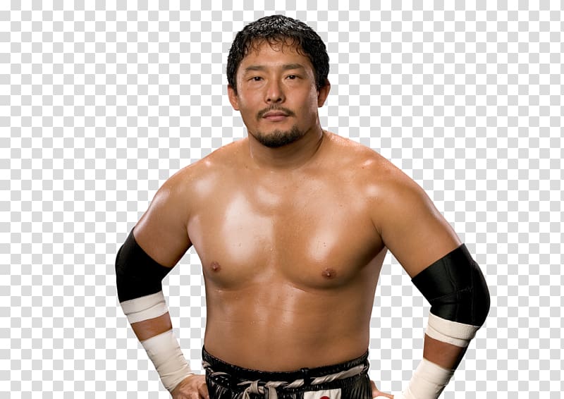 Tajiri WWE Raw Cruiserweight Classic Royal Rumble, hulk hogan transparent background PNG clipart