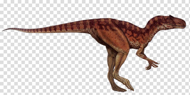 Tyrannosaurus Allosaurus Diplodocus Brachiosaurus Afrovenator, dinosaur transparent background PNG clipart