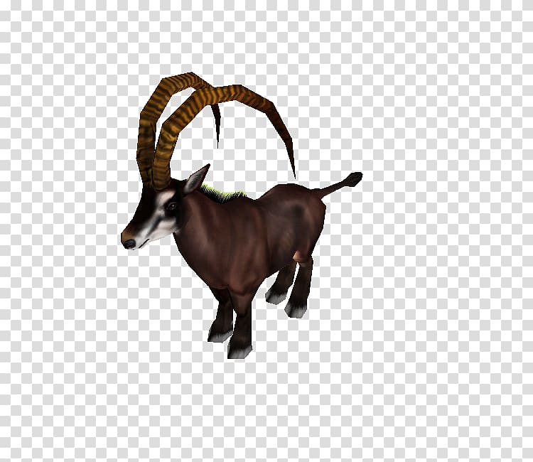Cattle Antelope Goat Reindeer Horn, zoo tycoon 2 endangered species transparent background PNG clipart