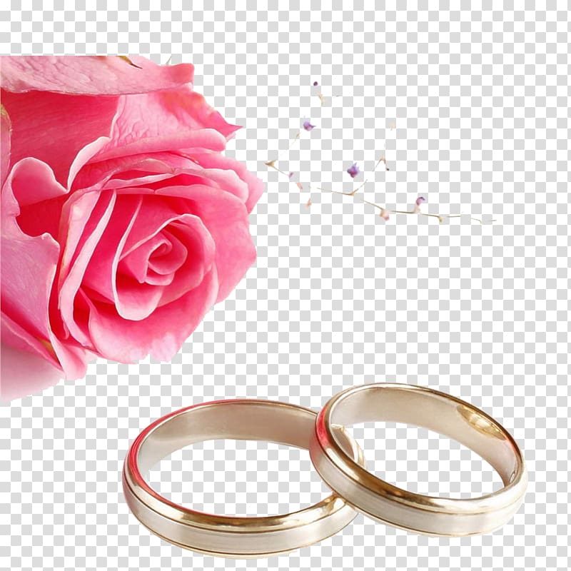 Wedding invitation Wedding ring Rose , Ring, gold-colored wedding bands and pink rose transparent background PNG clipart