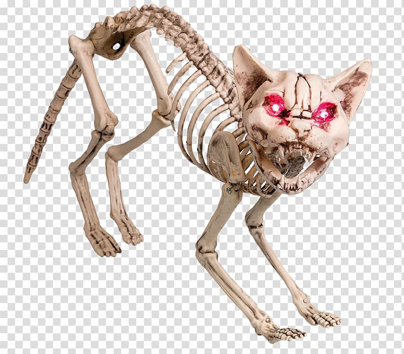 Cat Skeleton Light Spider Skull, Cat transparent background PNG clipart