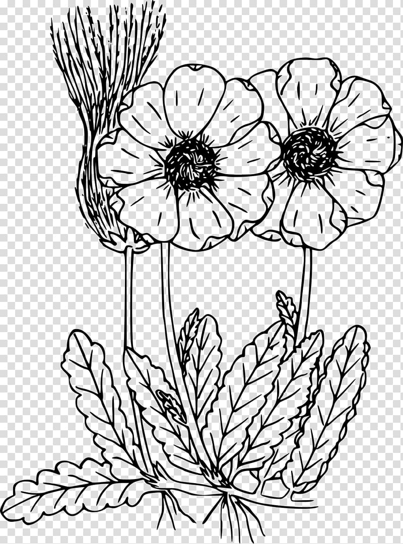 Coloring book Drawing Wildflower, wildflower transparent background PNG clipart