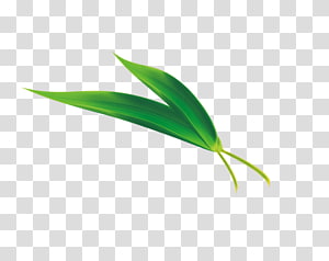 bamboo leaves png