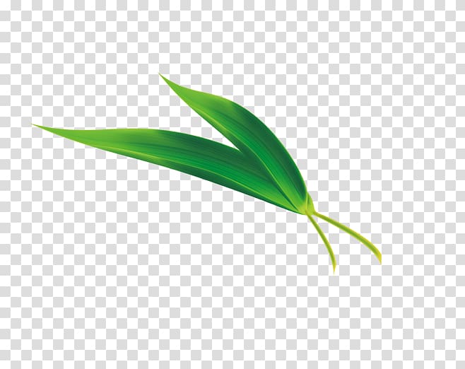 Zongzi Dragon Boat Festival Leaf Bamboo, of high-definition fallen leaves transparent background PNG clipart