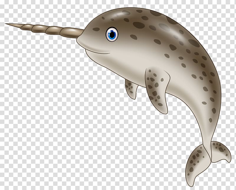 Cartoon Illustration, Dolphins transparent background PNG clipart