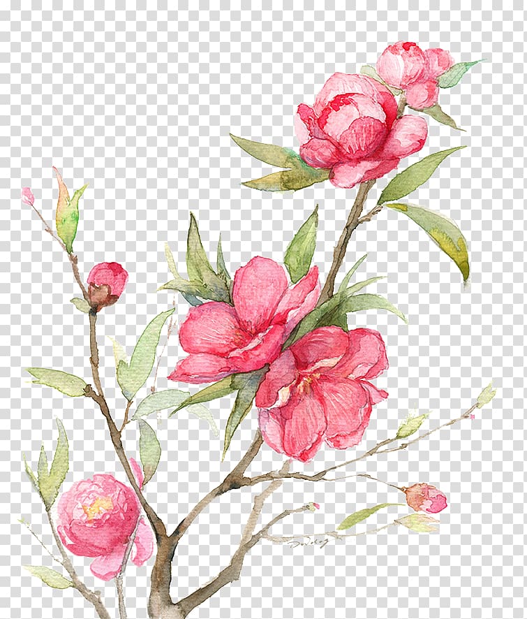 painted pink flowers background material transparent background PNG clipart