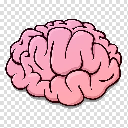 brain illustration, Brain Rules Human brain Brain–computer interface Brain injury, Brain transparent background PNG clipart
