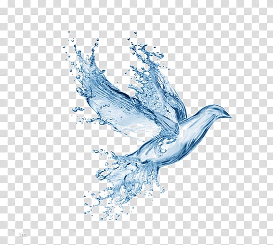 Water formed into bird illustration, Bible Prayer Disciple Christian ...