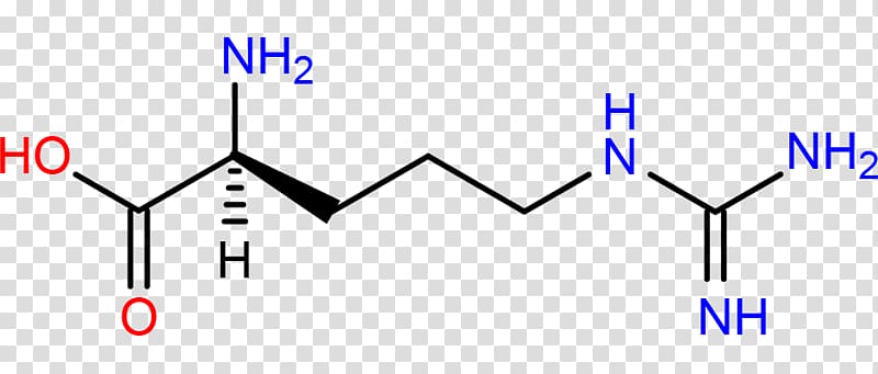 Biochemistry Amino acid Cystathionine, lights hd transparent background PNG clipart