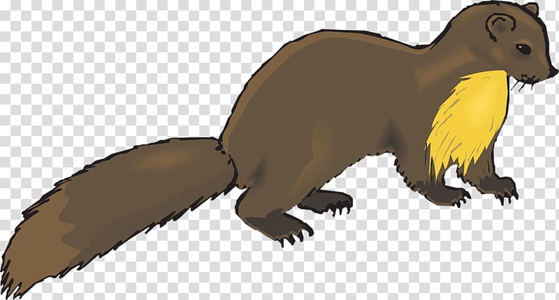 European pine marten Mink Weasels , ferret transparent background PNG clipart