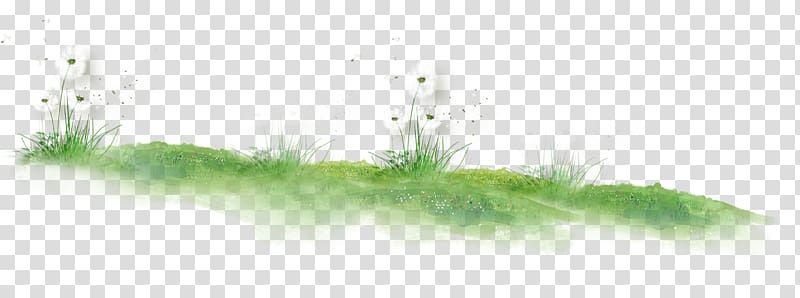 white petaled flowers illustration, Grasses Plant stem Green Pattern, Dandelion on the lawn transparent background PNG clipart