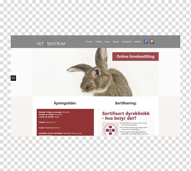 Web development WordPress Domestic rabbit Corporate website, WordPress transparent background PNG clipart