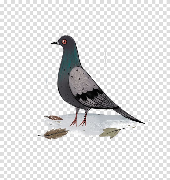 Columbidae Rock dove Drawing Watercolor painting, painting transparent background PNG clipart