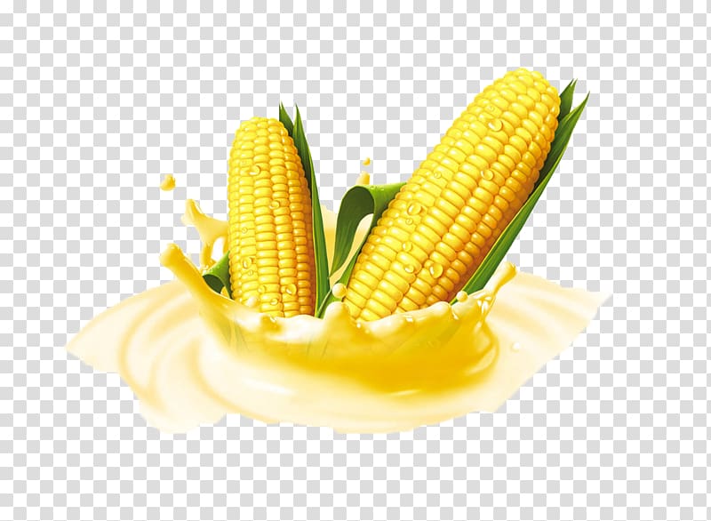 Corn on the cob Maize Sweet corn Food, Yellow corn transparent background PNG clipart