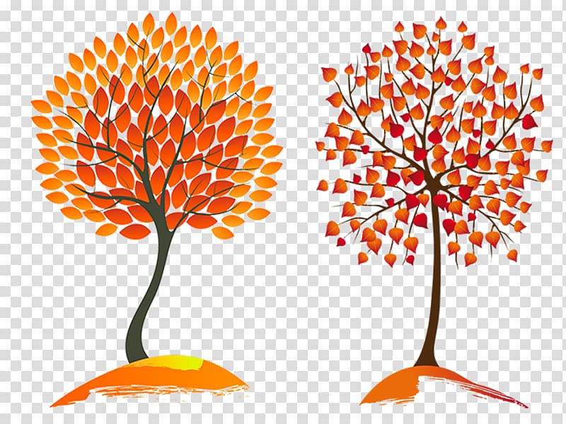 Autumn leaf color Tree , Autumn Trees material transparent background PNG clipart