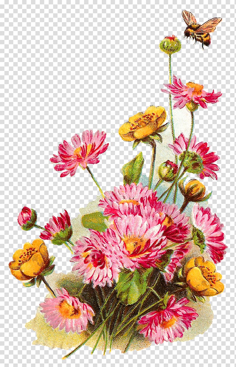 Wildflower , flower background transparent background PNG clipart