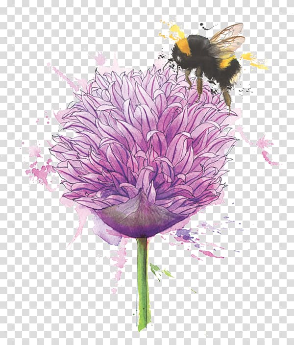 Floral design Flower Chives Illustration, Honey bees transparent background PNG clipart