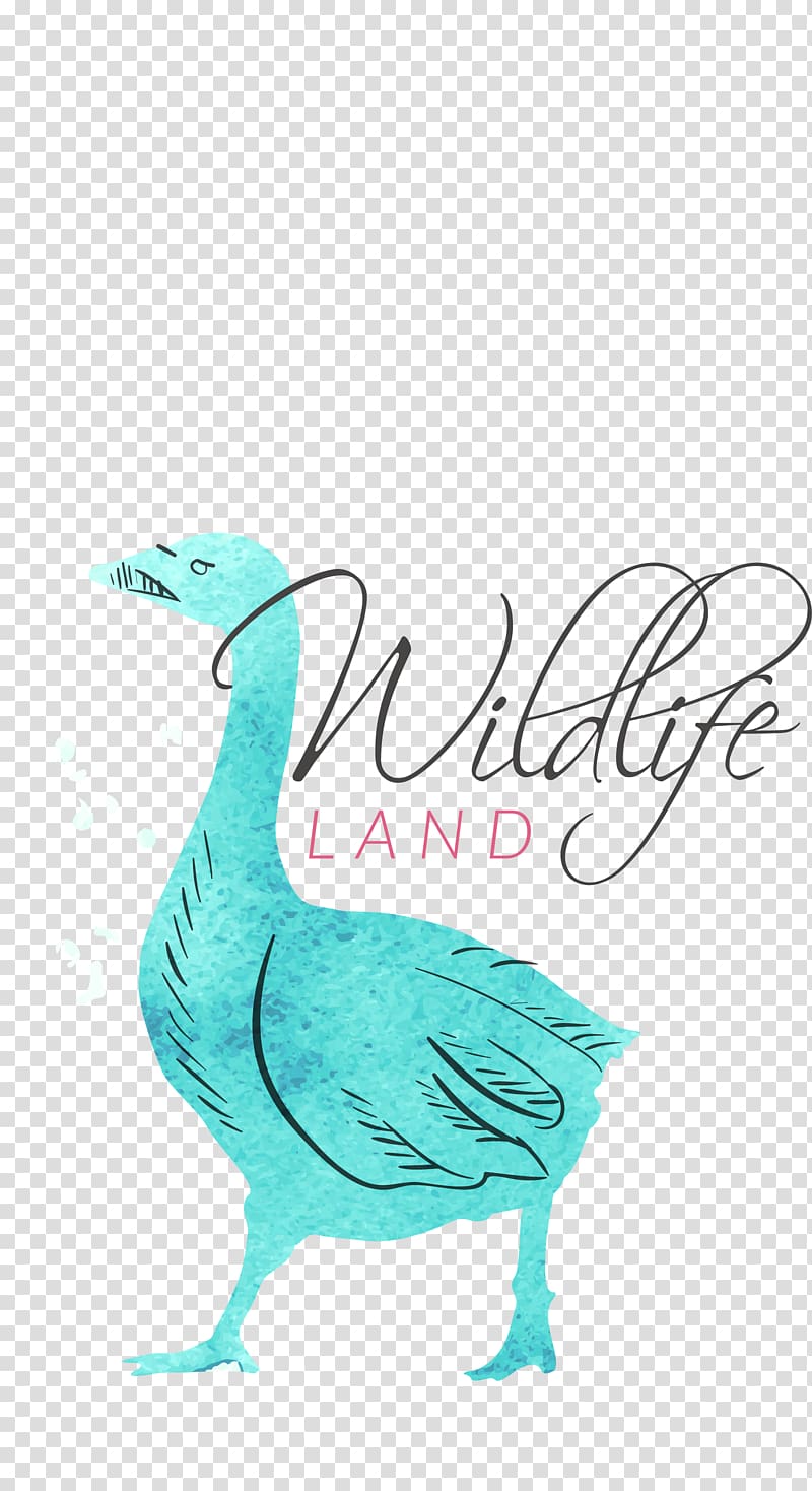 Watercolor painting Logo Illustration, Ducks transparent background PNG clipart